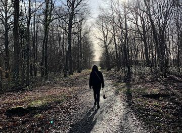 france/centre-val-de-loire/attraction/chambord-forest-st-dye-gate