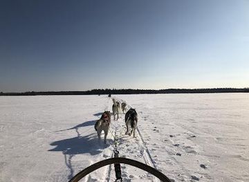 finland/karhunkierros-trail/attraction/husky-fun-kuusamo