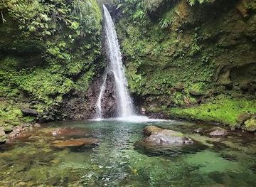 dominica/castle-bruce/attraction/jacko-falls