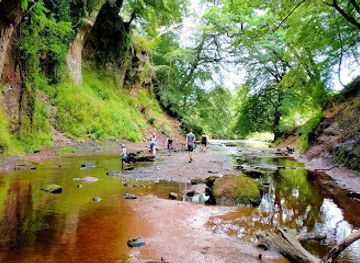 united-kingdom/renfrewshire/attraction/finnich-glen