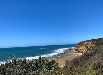 australia/great-ocean-road/attraction/sunnymead-beach