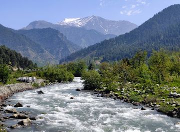 india/kashmir-valley/attraction/lavender-park
