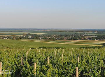 croatia/baranja/attraction/vidikovac-vina-belje