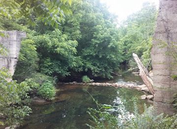 tennessee/cumberland-plateau/attraction/obed-river-park