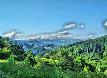 romania/gorj/attraction/belvedere-transalpina
