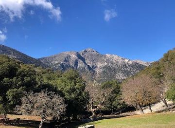 greece/crete/attraction/rouvas-forest