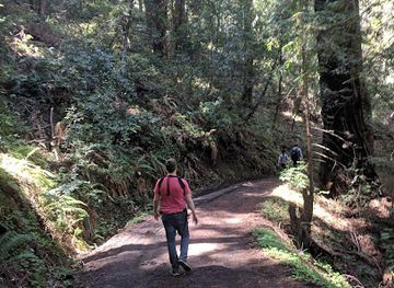 california/redwood-national-and-state-parks/attraction/sam-mcdonald-park