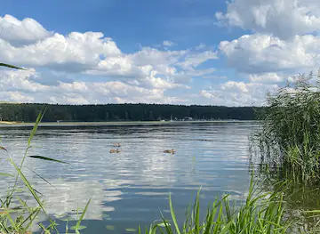 Dzika plaża