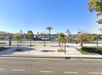 spain/seville/el-arenal/attraction/flamenca