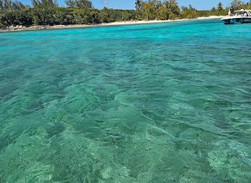 the-bahamas/new-providence/attraction/half-moon-luxury-tours