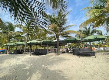 vietnam/ha-long/tuan-chau-island/attraction/du-lich-tuan-chau-minh-anh-quan