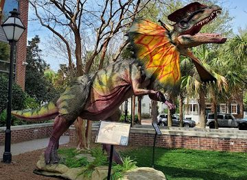 south-carolina/lowcountry/attraction/mace-brown-museum-of-natural-history-college-of-charleston