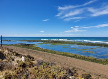 argentina/southern-patagonia/attraction/loberia-punta-norte
