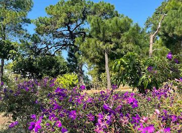 vietnam/ha-long/attraction/halong-view-tower