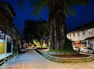 malaysia/kuantan/attraction/sungai-lembing-town-area