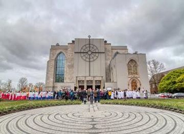 Attraction