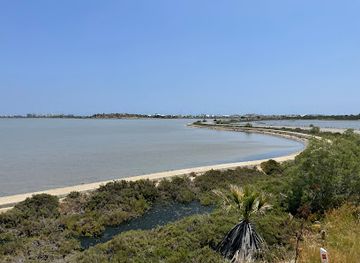 cyprus/larnaca/attraction/love-buses-sightseeing-tour-stop