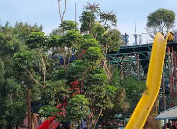 Wonder World Amusement Park