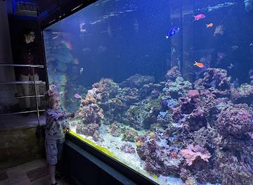 spain/murcia-region/attraction/acuario-de-la-universidad-de-murcia