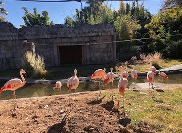 arizona/tucson/attraction/reid-park-zoo