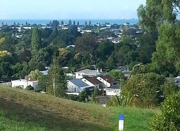 new-zealand/gisborne/attraction/mangapapa-reserve