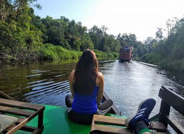 indonesia/south-kalimantan/attraction/orangutan-tour