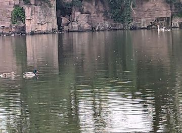 iowa/gitchie-manitou-state-preserve/attraction/arrowhead-park-waterfowl-feeding-area