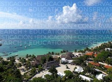 mexico/playa-del-carmen/attraction/centro-ecologico-akumal
