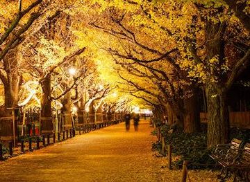 japan/tokyo/attraction/meiji-jingu-gaien-gingko-avenue