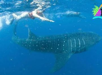 mexico/cancun/attraction/ecocolors-tours