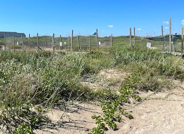 texas/south-padre-island/attraction/sea-turtle-hatchery