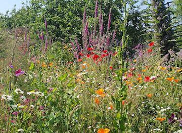 jersey/saint-ouen/attraction/birdsong-garden