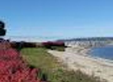 michigan/petoskey/attraction/open-field