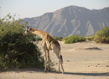 namibia/kaokoland/attraction/elephant-song-camp