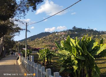 madagascar/ranomafana-national-park/attraction/jardin-botanique-anosy