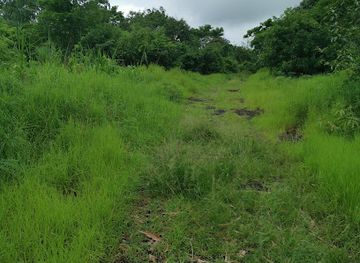 mauritius/belle-mare/attraction/little-forest