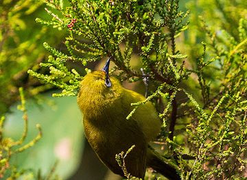 rwanda/lake-kivu/attraction/bigugu-hiking-trail