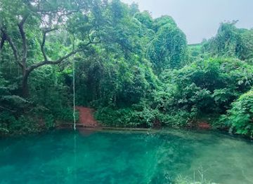 india/panaji/attraction/tigur-baay