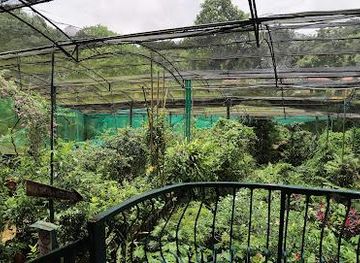 malaysia/kuala-lumpur/attraction/kuala-lumpur-butterfly-park