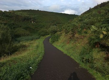 united-kingdom/cork/attraction/the-glen-river-park-pairc-abhainn-an-ghleanna