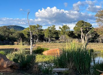 south-africa/waterberg/attraction/matla-mamba-safaris