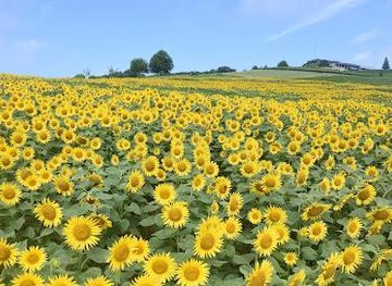 japan/harima/attraction/hyogo-prefecture-awaji-hanasajiki