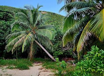 anguilla/the-valley/attraction/trunk-bay-tortola