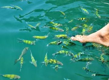 malaysia/langkawi/attraction/langkawitour-book-langkawi-tours-hotels-activities