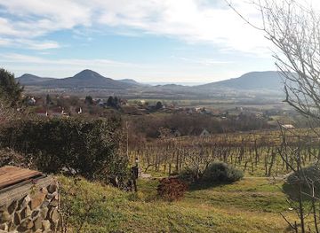 hungary/western-transdanubia/attraction/bazaltorgonak-tanosveny