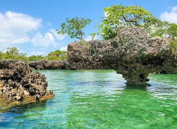 tanzania/zanzibar-island/attraction/luxury-safari-blue