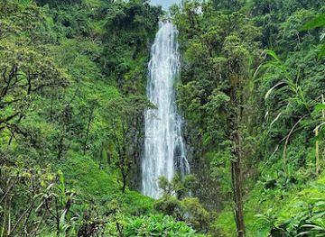 tanzania/kilimanjaro-region/attraction/materuni-waterfalls-and-coffee-tours