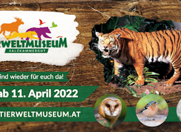 austria/salzkammergut/attraction/salzkammergut-tierweltmuseum