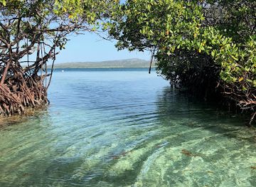 puerto-rico/la-parguera/attraction/eco-water-adventure