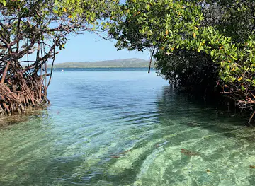 Eco Water Adventure